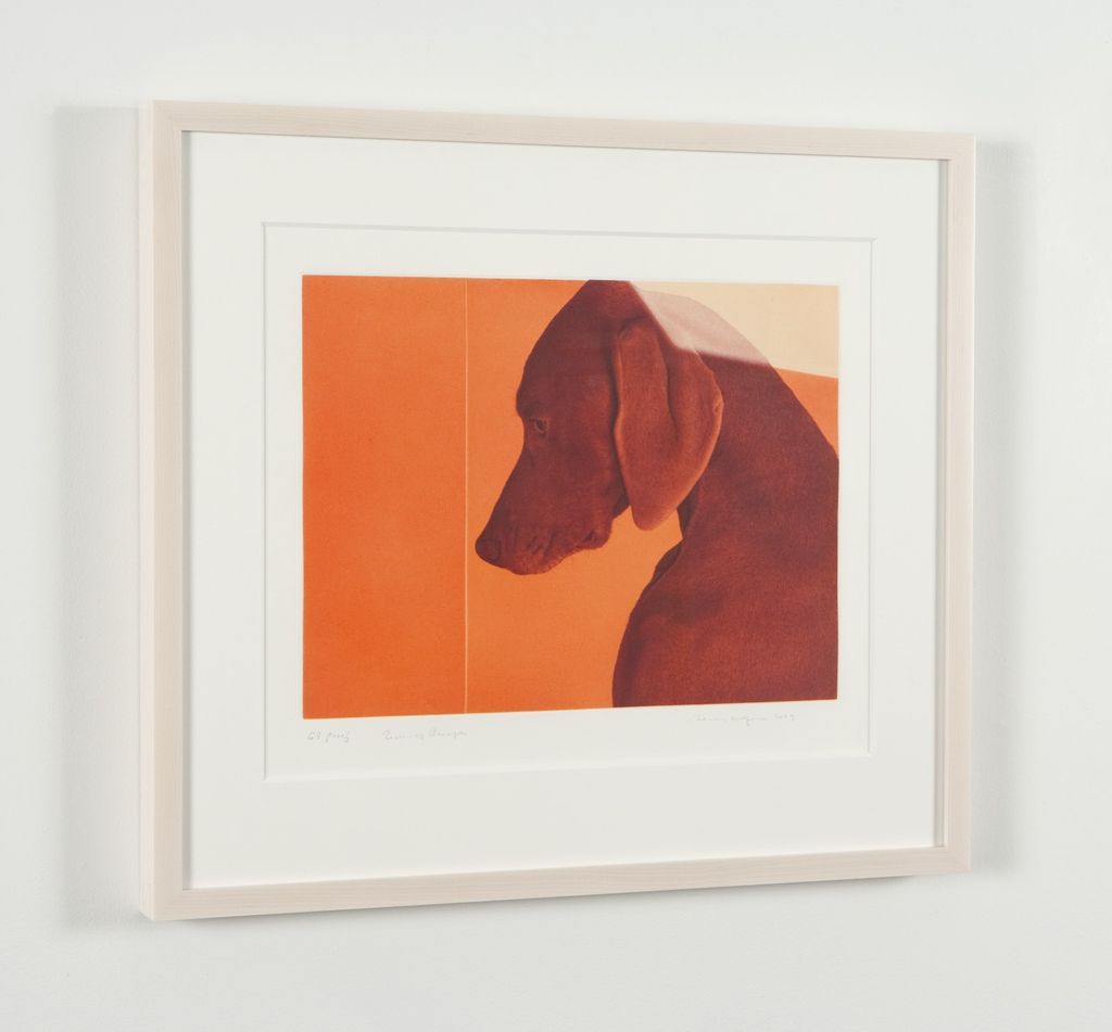 William Wegman