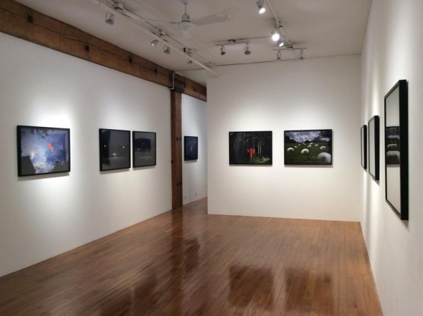 Mayumi Lake exhibition at Miyako Yoshinaga Gallery