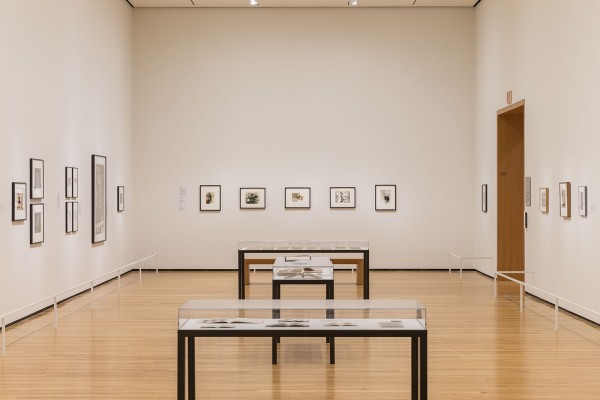 The Believable Lie: Heinecken, Polke, and Feldmann at the Cleveland Museum of Art