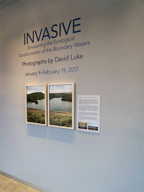 david luke exhibition shot