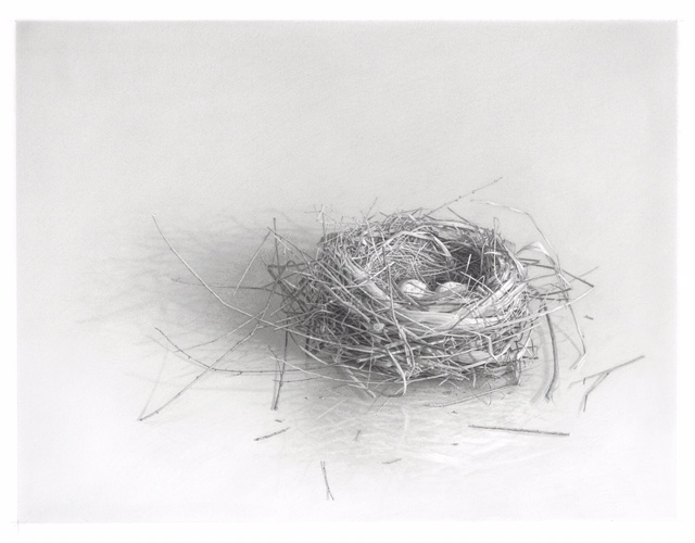 Skip Steinworth "Nest #5"
13.5" x 16.5"