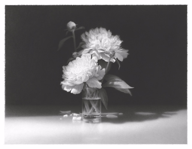 Skip Steinworth "White Flowers in Bright Light" 22.5" x 29.5"