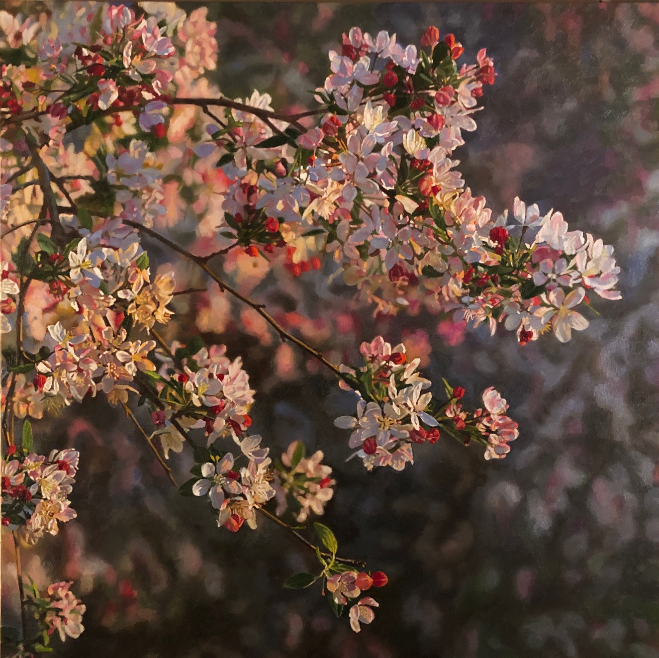 Crabapple Blossoms, 2019, oil on canvas, 30"x30”